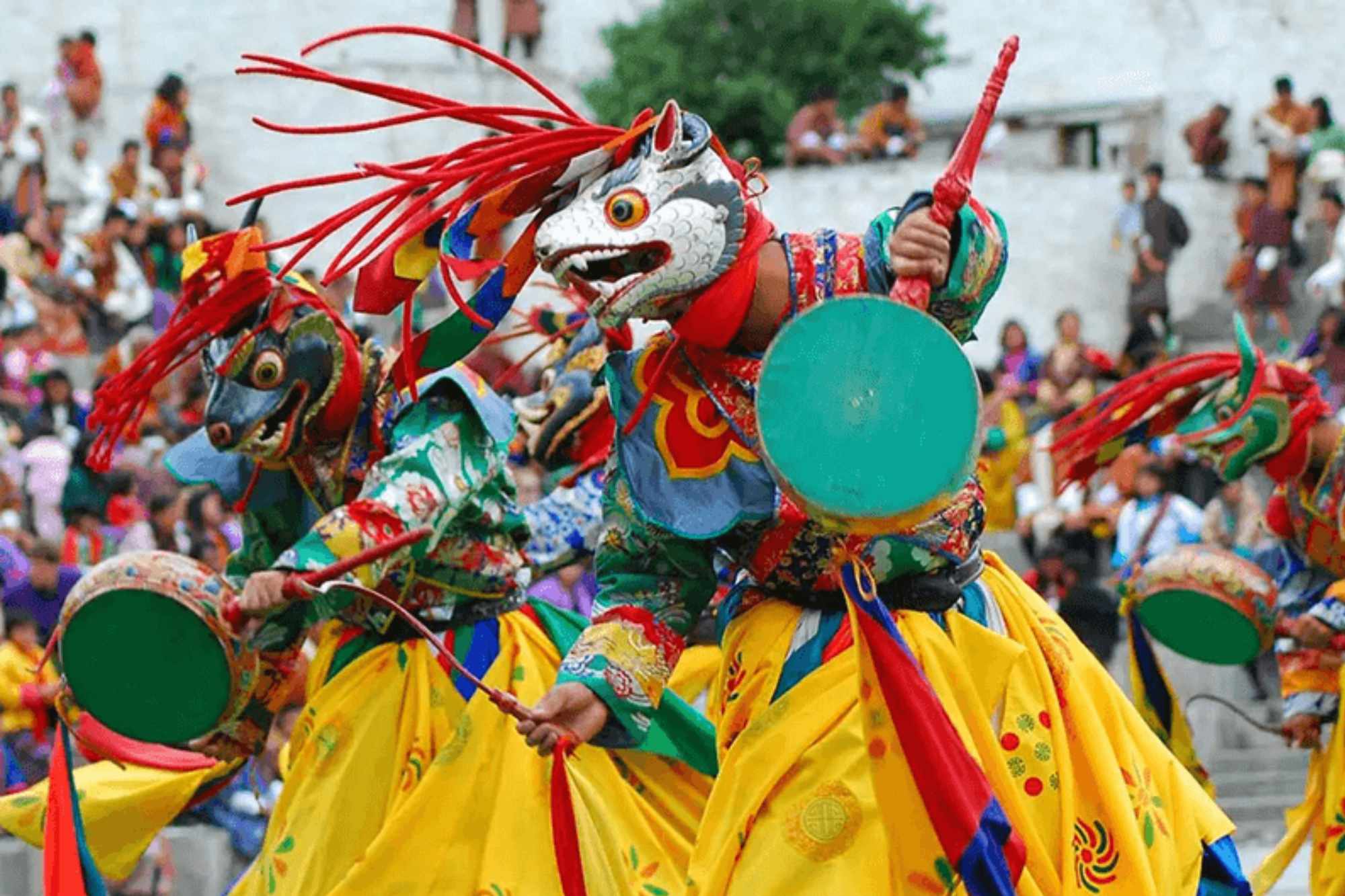 Untitled design (44)