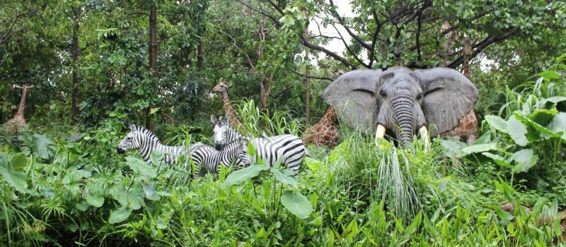 Manas Safari (1)